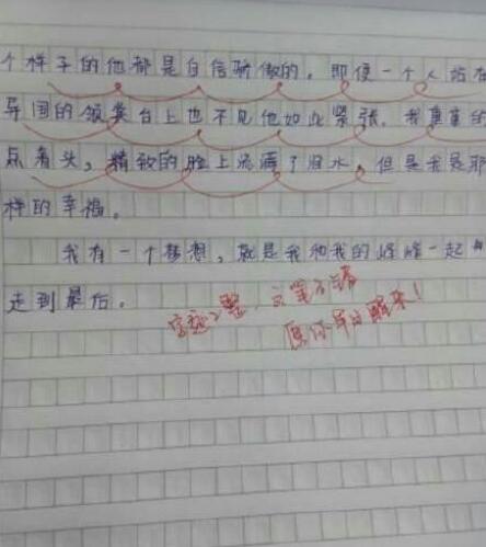 小学生写作文告白李易峰 老师点评：醒醒